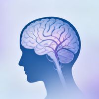 性生活后头晕是低血压还是正常反应？786+用户观点大PK