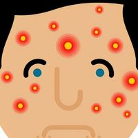 2026哪款内衣洗衣机好用？拜飞/希亦/小熊三大热门品牌硬核测评