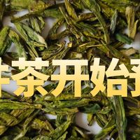 龙井茶开始预售，选购哪个牌子比较好？龙冠/贡牌/狮峰推荐