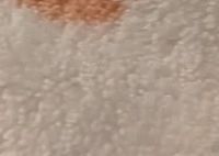 娃洗脸再也不抗拒！洁丽雅（Grace）A类儿童毛巾4条装