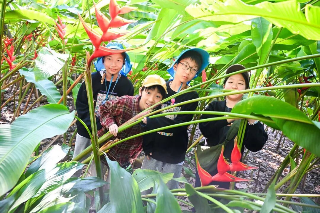 旅图 | 告别旅行爱好者的天堂