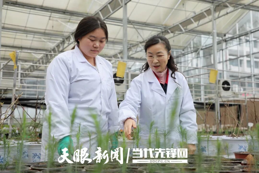 【媒体看遵职26】天眼新闻 |【问政问需在基层】怎样筑牢基层农技支撑、净化微短剧环境?邱宁宏代表:以职教兴农,以监管护苗