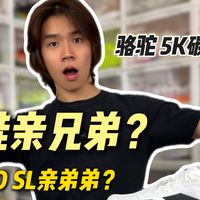 阿迪远在他乡的亲弟弟？骆驼5K碳板跑鞋！性能还真可以！