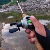 秋季马口作钓思路