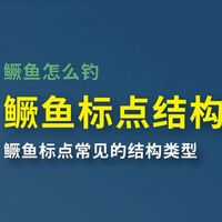 鳜鱼标点常见结构类型