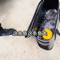 经过两天的野钓实战证明！降温钓深水也不好一定好