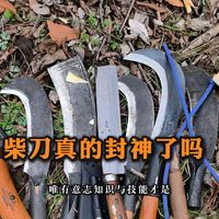 野外生存：柴刀万能论，是真的封神了吗？