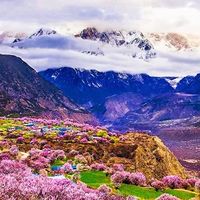 驾进西藏•路过川西 | 2026林芝桃花节+金川梨花17日全程自驾游(川进青出)