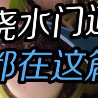 浇水门道！都在这篇！