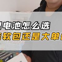 锂电池怎么选选软包还是大单体
