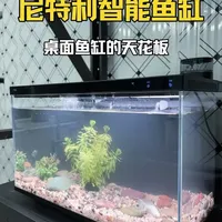 尼特利新款X45智能鱼缸真是细节满满,目前智能鱼缸的天花板养小龟也不错!#尼特利 #智能鱼缸 #养龟#乌龟 #鱼缸