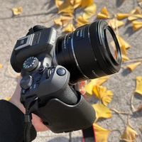 佳能R10是“轻便专业机”还是“功能缩水版”？876+用户观点大PK