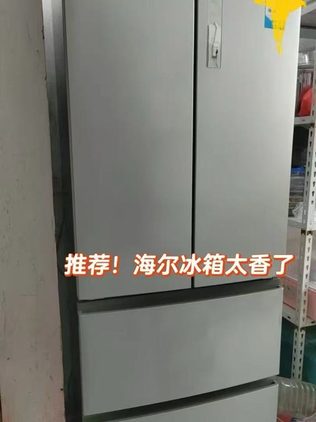 精致囤鲜新选择！335L法式冰箱抗菌又省电