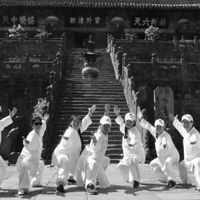 权威证实：太极拳显著改善老年人平衡能力，有效降低跌倒风险