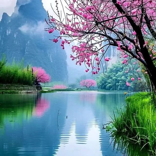 国学精讲 | 冯友兰 《中国哲学简史》摘录——中国哲学的精神（一）