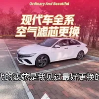再也不用花两百多去4s店里更换空气滤芯了  每次保养前自己动手更换这两样东西 又能省下好几百 #汽车保养 #空气滤芯更换教程 #空调滤芯更换 #空气滤芯