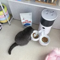 🐱猫家长选粮攻略｜室内成猫喂养心得分享🔽