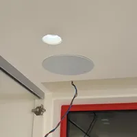 🎵网购吸顶音响自装下车！