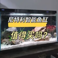 尼特利智能鱼缸测评：核心功能与实测体验
