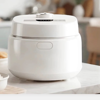 2026年家用电饭煲推荐：0涂层内胆真能从根源上杜绝安全隐患？