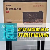 尼特利智能鱼缸全网首发开箱讲解 带大家详细了解一下这款缸都有哪些功能，从外观到过滤具体的结构设计，有哪些亮点和其他智能鱼缸相比的不同之处 #智能鱼缸 #尼特利智能鱼缸 #鱼缸