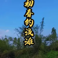 初春钓鱼总是空军？那是你的位置选错啦！#钓鱼 #钓鱼人就是这么疯狂 #化氏鲜藻元素#澳西尼#澳西尼麒麟二代
