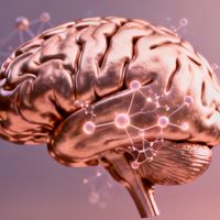 女性性关系后更“上头”是情感需求还是产品选择？全网观点大碰撞