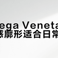 Bottega Veneta极具体量感廓形适合日常穿吗？全网观点大PK