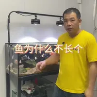 #水族 #观赏鱼 #养鱼日记 #养鱼人