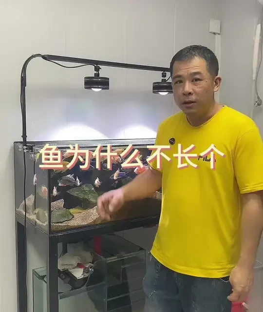 #水族 #观赏鱼 #养鱼日记 #养鱼人