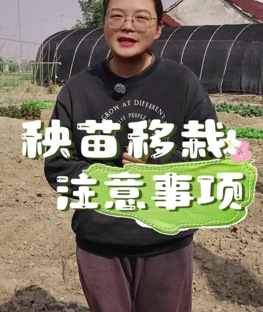 蔬菜秧苗移栽的注意事项有哪些？ #种菜 #种植小技巧 #关注我一起学种菜 #自己种的纯天然的绿色蔬菜 #我的小菜园