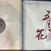 怀旧金曲黑胶唱片 vs 数字音乐平台？我们汇总了127位用户真实观点，答案在这