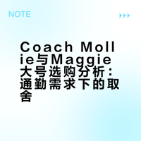 Coach Mollie与Maggie大号选购分析：通勤需求下的取舍