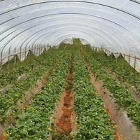 草莓价格暴跌至1元/斤,靠天吃饭困局引热议?我们用84+用户观点全景呈现