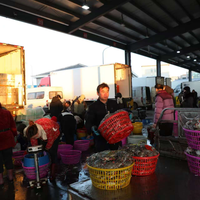 渝黔桂运河开通后，重庆海鲜消费将迎来哪些变化？750+用户观点全景呈现