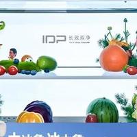 从欧洲标准到中国方案：容声大冰象用中式创新回应本土需求