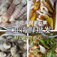 三亚海鲜买海鲜第五集 看看本地人都去哪里买海鲜，最近很多朋友问三亚旺季海鲜的价格，今天一月一号，我们看看海鲜价格怎么样。因为新年第一天，所以价格会贵一些，海鲜每天的价格浮动这都是很正常的。顺便看看海南人的家宴都吃些啥？#三亚海鲜 #三亚海鲜攻略 #三亚海鲜加工 #三亚美食打卡 #三亚美食推荐