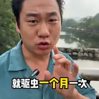 驱虫多久一次,终结篇 一个月一次的驱虫合理么?是不是消费陷阱#养猫经验分享 #驱虫 #养猫人