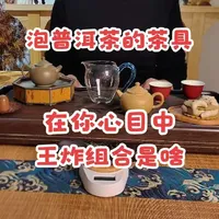 泡普洱茶的茶具，在你心目中“王炸”组合是啥？