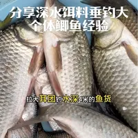 分享深水饵料垂钓大个体鲫鱼经验#户外钓鱼 #垂钓 #原创视频 #钓鱼技巧 #野钓大板鲫