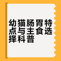奶猫如何喂养？妈生级养护攻略👏