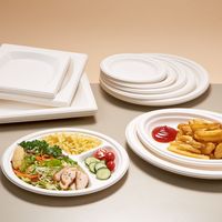 一次性露营餐具是环保利器还是伪善陷阱？1200+用户观点大碰撞