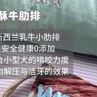 上班8小时，狗在等你：它独自在家时到底需要什么？