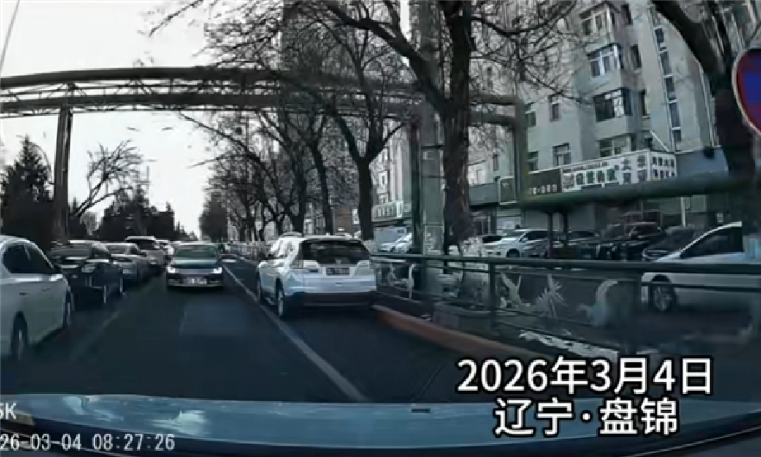 车主逆行还称小区的都这么开!结果凭一己之力让小区的人都被罚了