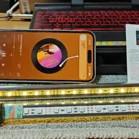 大量外贸 LED 氛围灯流出！几块钱！集遥控、声控、APP、IP68防水