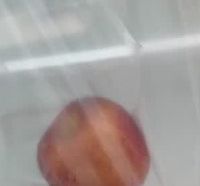 太力双筋密实保鲜袋30只中号，食品级PE加厚