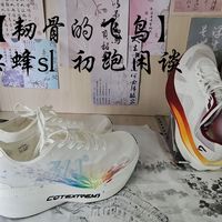 【栗蜂振翼踏云轻，冰羽透风携月去】栗蜂sl初跑闲谈