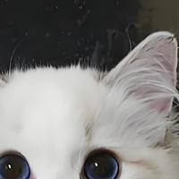 乐顿夹心猫粮值得购买吗？乐顿夹心猫粮深度测评