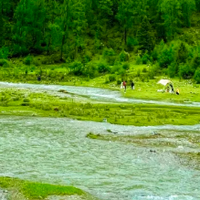 三月春风起，赴七环牧场之约，解锁踏青烧烤天花板