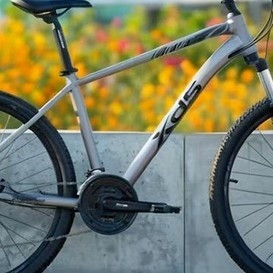 自行车：从历史到现代的演变